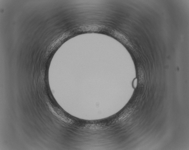 X0000067870538200605111802