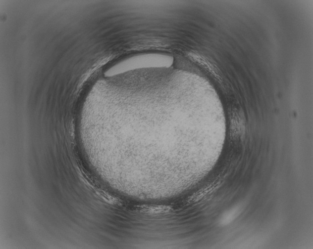 X0000067870539200605111802