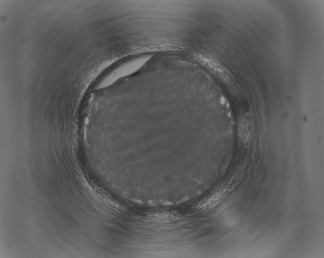 X0000067870540200605111802