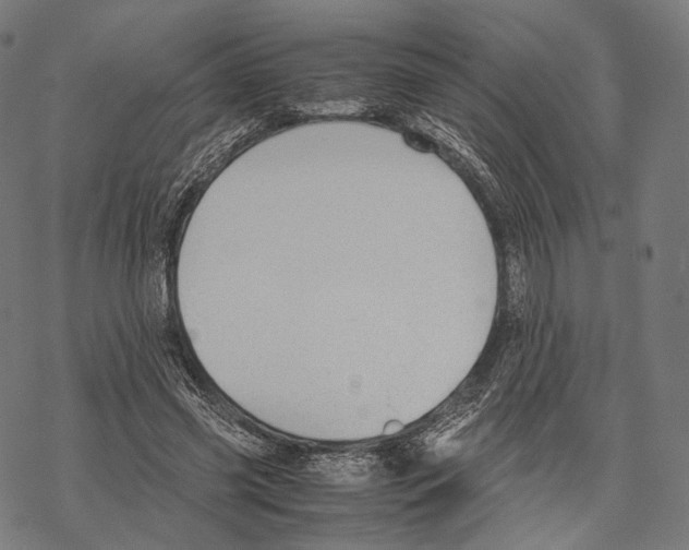 X0000067870541200605111802