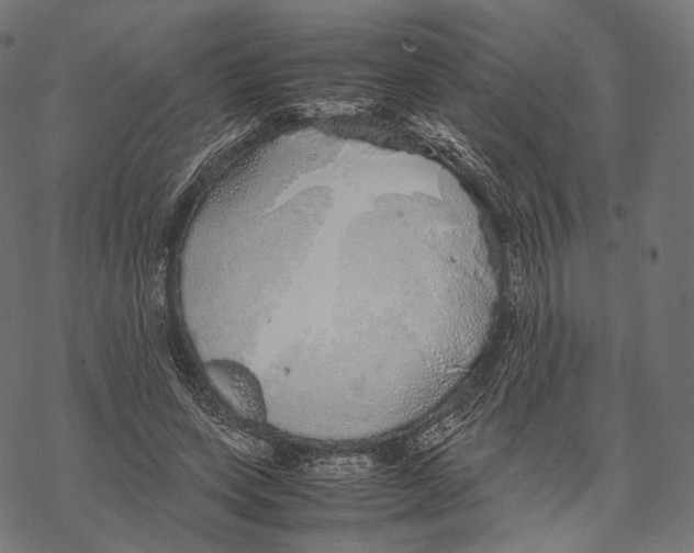 X0000067870543200605111802