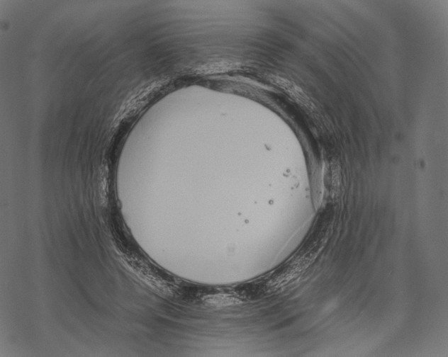 X0000067870544200605111802