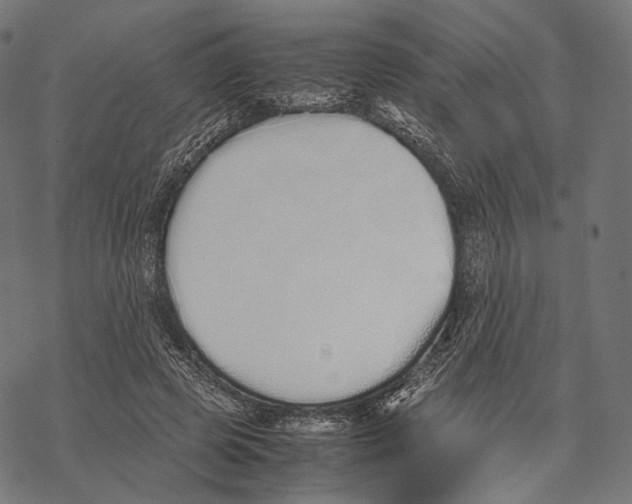 X0000067870545200605111802