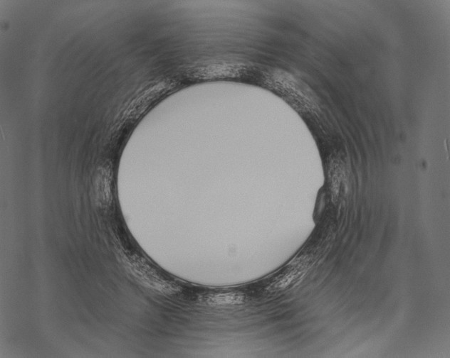 X0000067870546200605111802