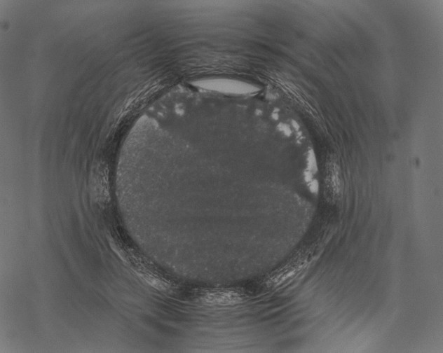 X0000067870547200605111802