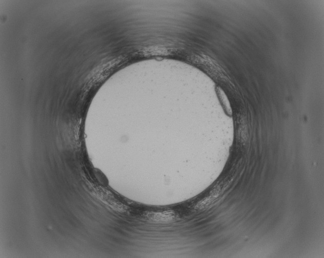 X0000067870548200605111802