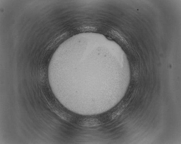 X0000067870549200605111802