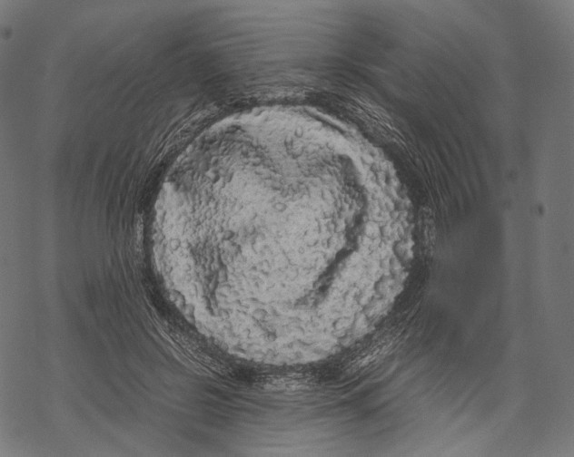 X0000067870550200605111802