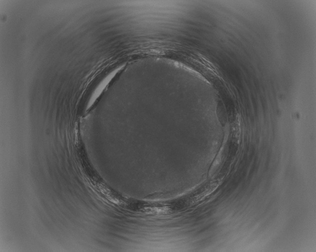 X0000067870552200605111802