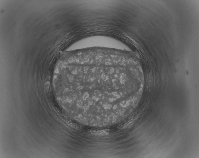 X0000067870553200605111802