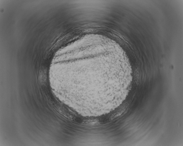 X0000067870554200605111802