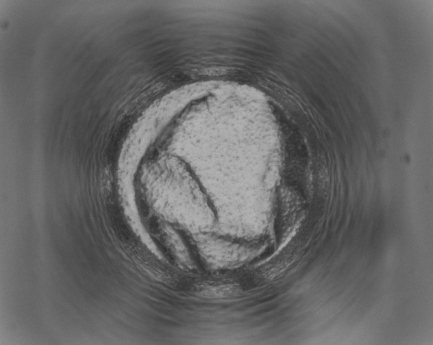 X0000067870555200605111802