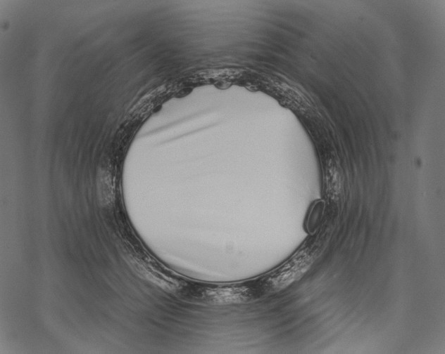 X0000067870558200605111802