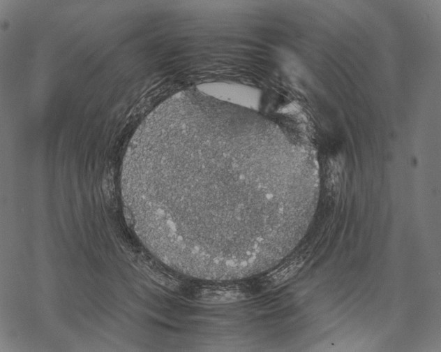 X0000067870559200605111802