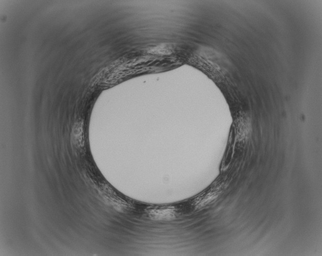 X0000067870560200605111802