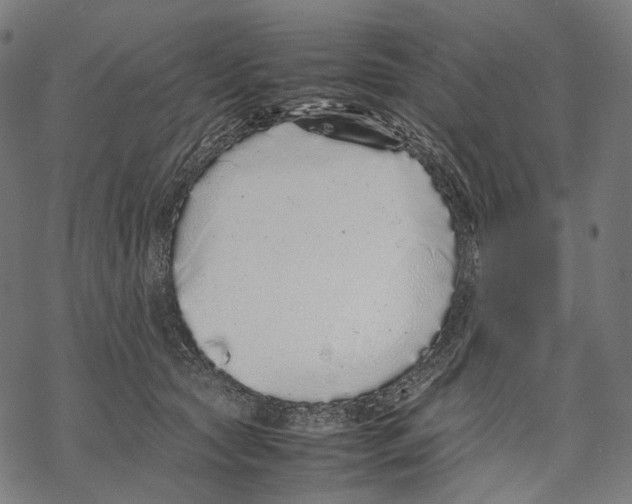 X0000067870561200605111802