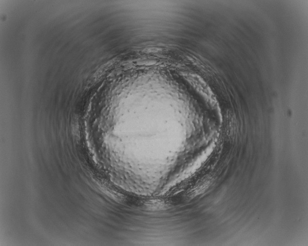 X0000067870562200605111802