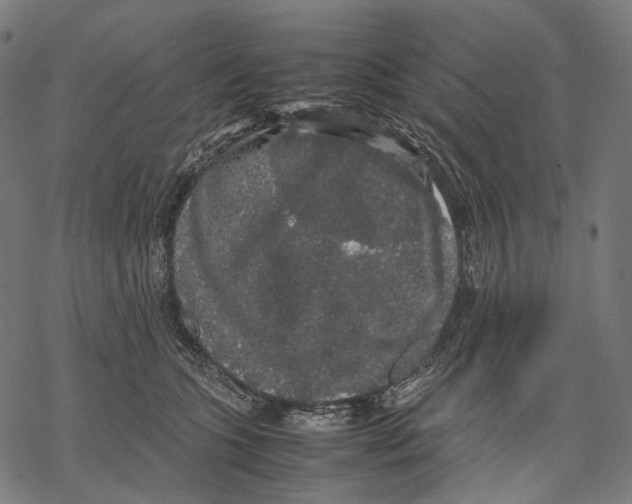 X0000067870563200605111802