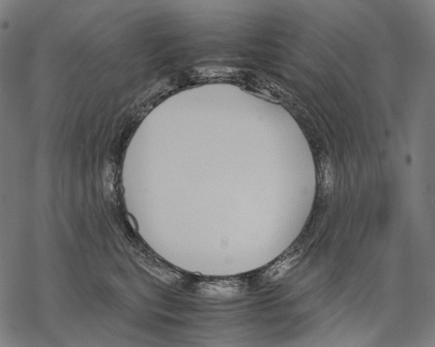 X0000067870567200605111802