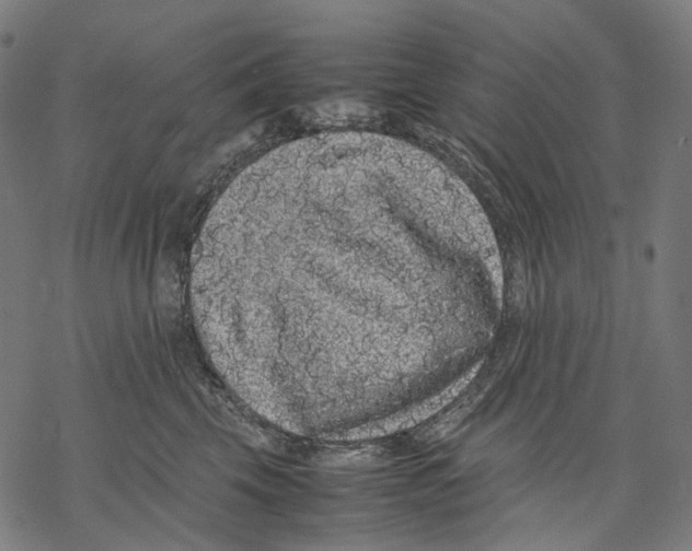 X0000067870569200605111802