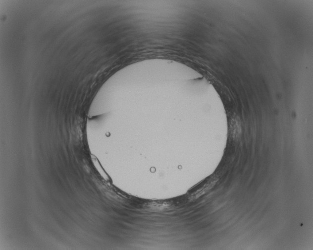 X0000067870570200605111802