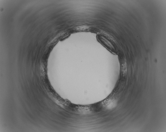 X0000067870572200605111802