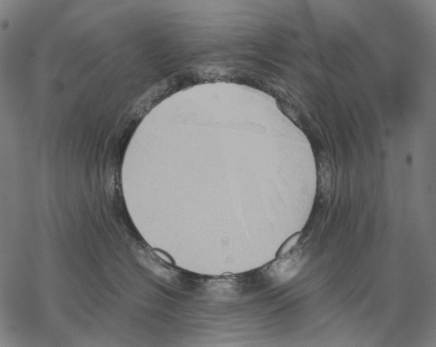 X0000067870574200605111802