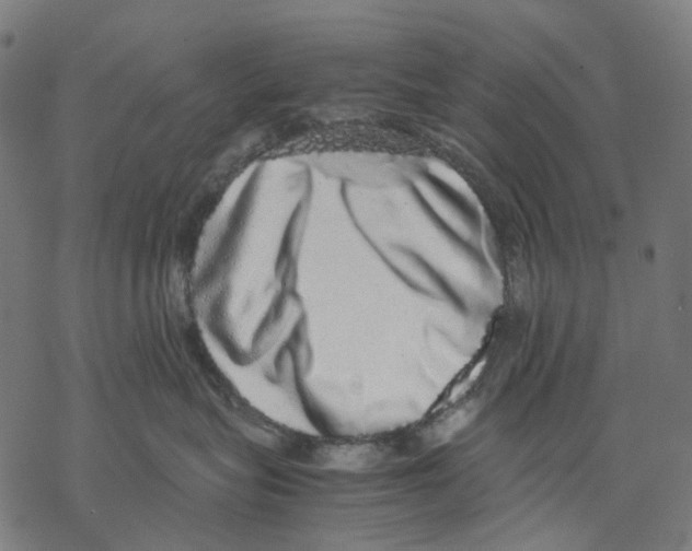 X0000067870575200605111802