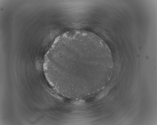 X0000067870576200605111802