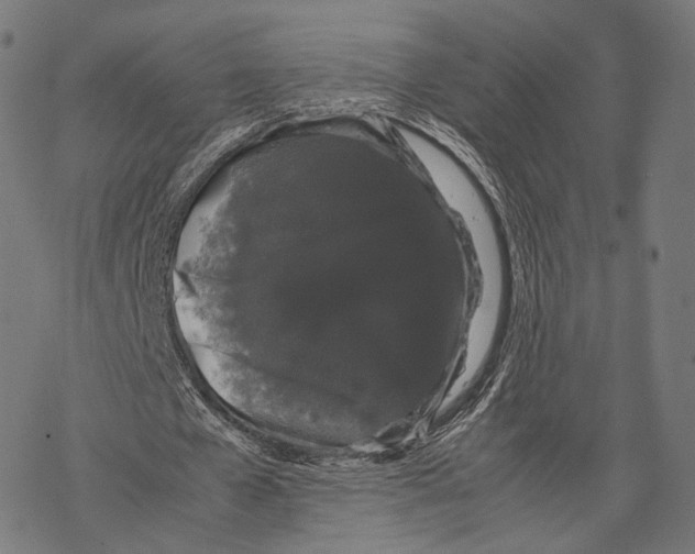 X0000067870577200605111802