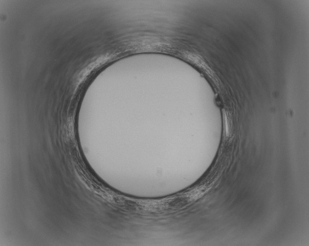 X0000067870579200605111802