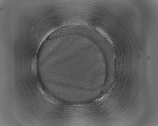 X0000067870580200605111802