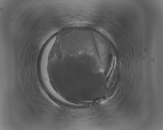 X0000067870581200605111802