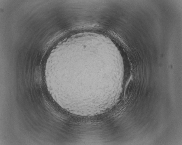 X0000067870582200605111802