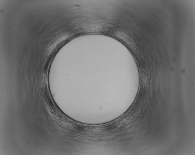 X0000067870583200605111802