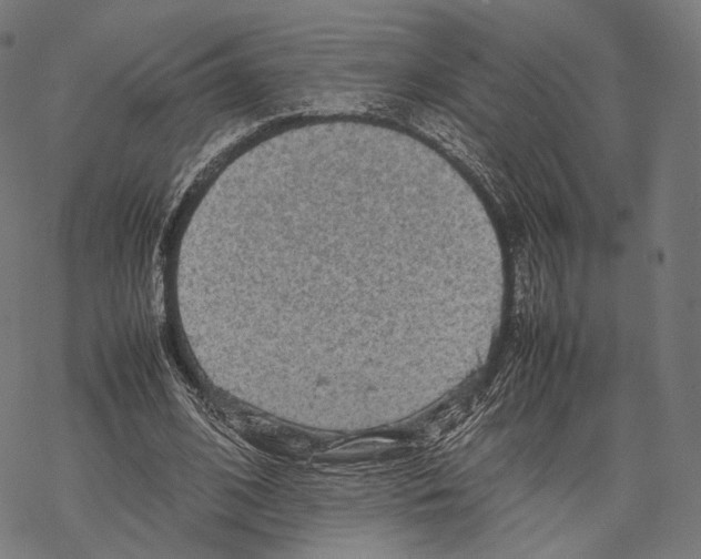 X0000067870584200605111802