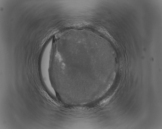 X0000067870585200605111802