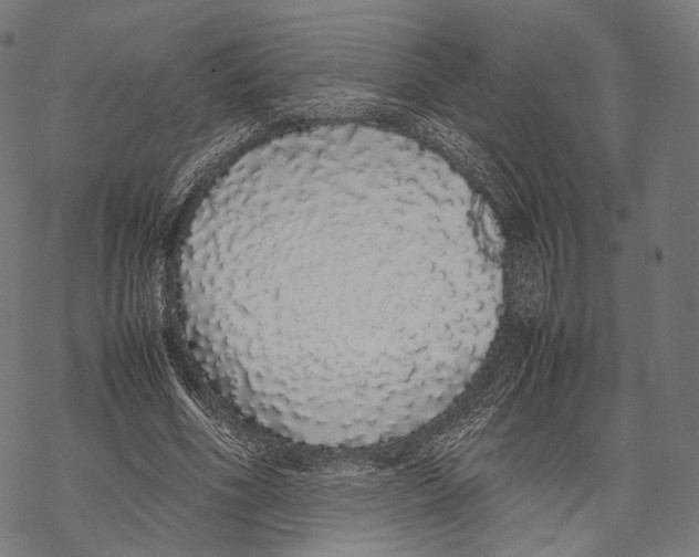 X0000067870586200605111802