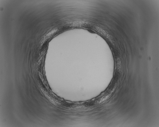 X0000067870589200605111801