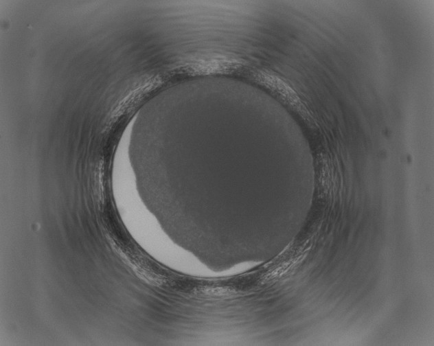 X0000067870590200605111801