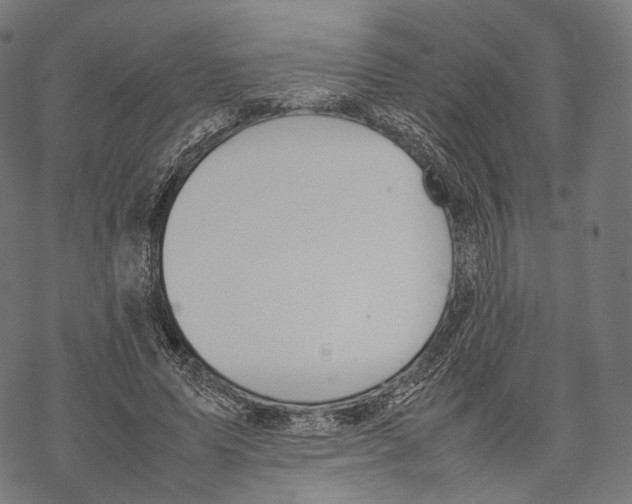 X0000067870591200605111801