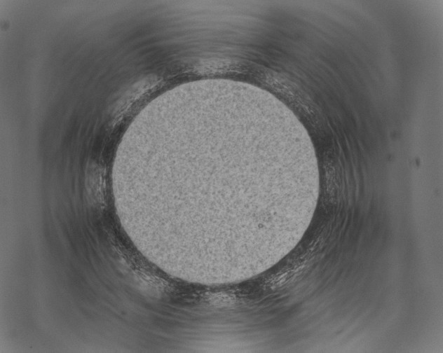 X0000067870592200605111801