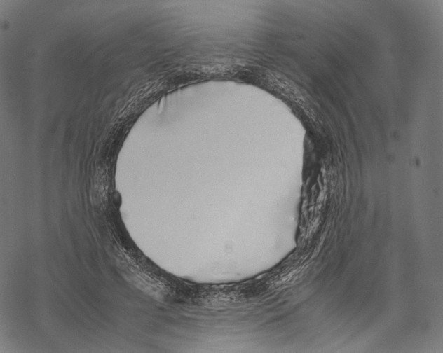 X0000067870593200605111801