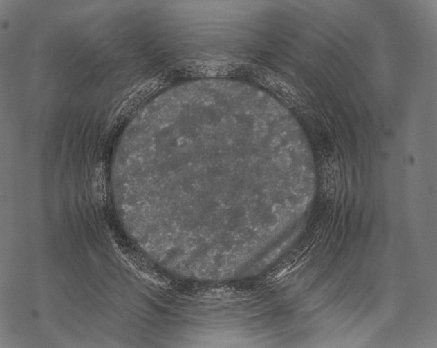 X0000067870594200605111801