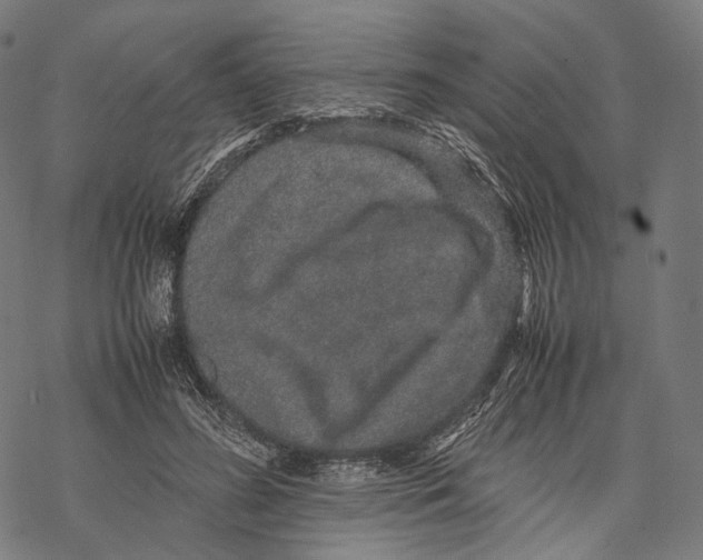 X0000067870596200605111801