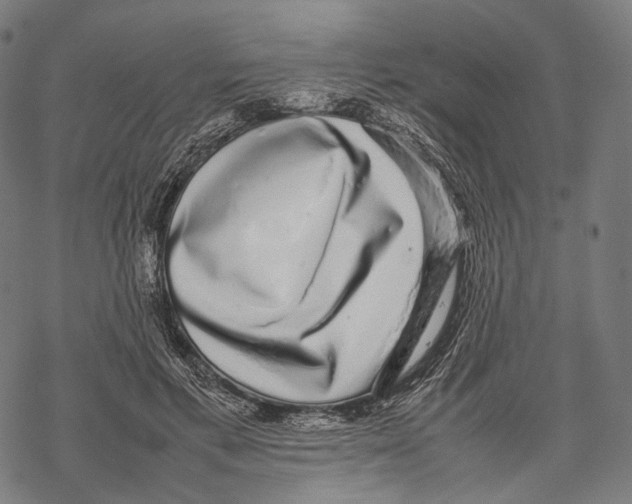 X0000067870597200605111801