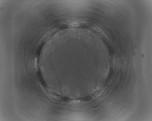 X0000067870598200605111801