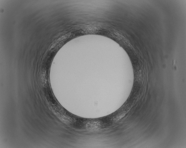 X0000067870599200605111801