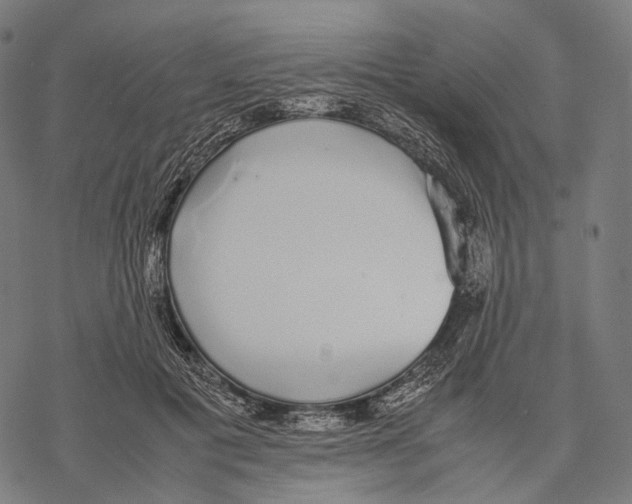 X0000067870601200605111801