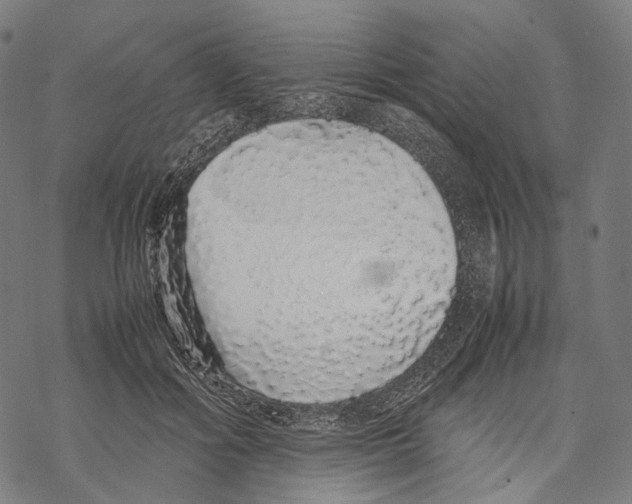 X0000067870602200605111801